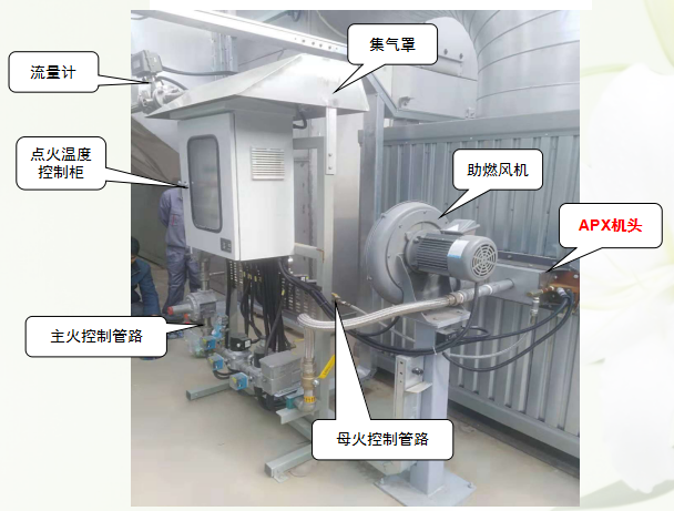 金龙项目图片